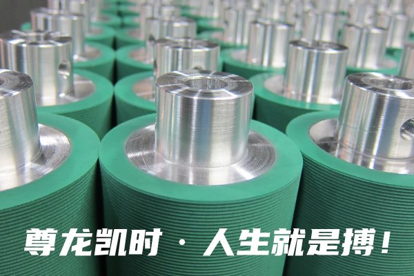 尊龙凯时·人生就是搏